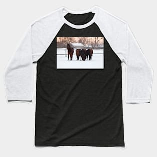 Four horses grazing on snowy pasture Baseball T-Shirt